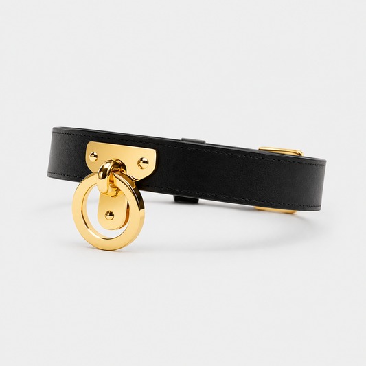 Noir Leather Collar & Leash
