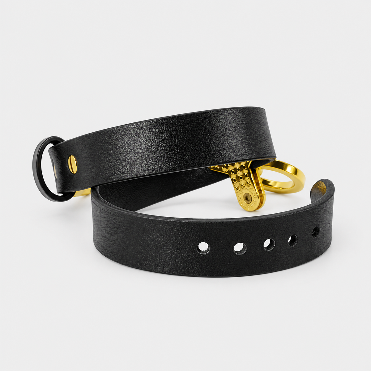 Noir Leather Collar & Leash